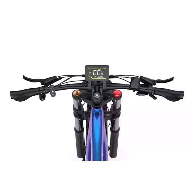 DUOTTS E26 elektrinis dviratis Mėlynas 4