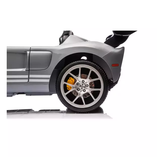 Ford GT dvivietis Pilkas 2
