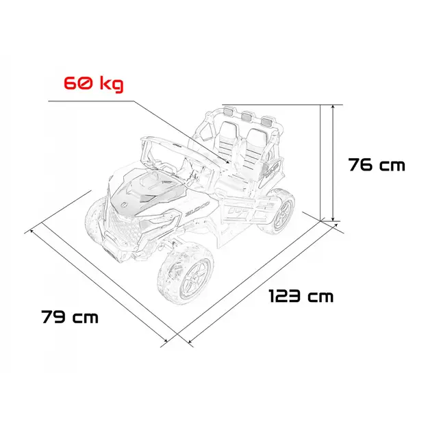 Buggy OBSERVER 4x4 Juodas 1