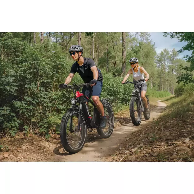 „Duotts ​​F26“ lite elektrinis dviratis Pilkas 5