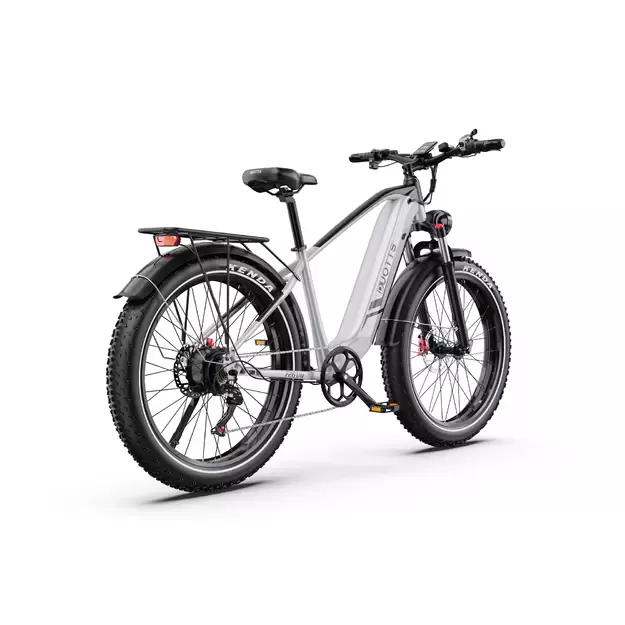 „Duotts ​​F26“ lite elektrinis dviratis Pilkas 3