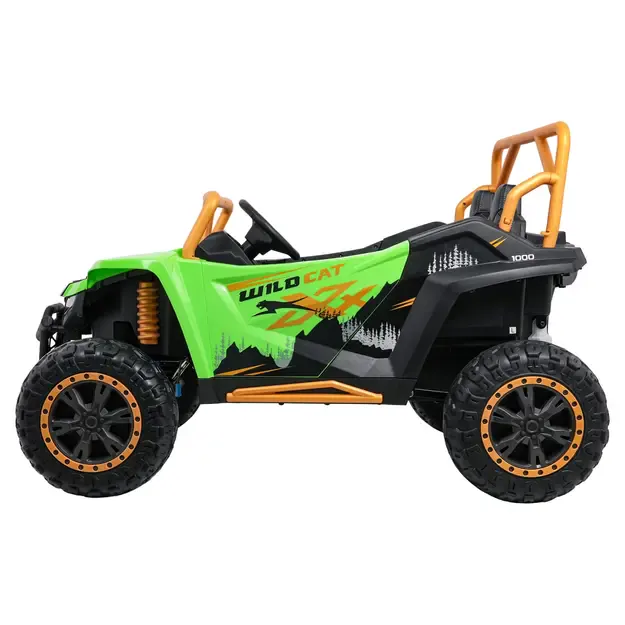 Buggy Arctic Cat WILDCAT XX Žalias 2