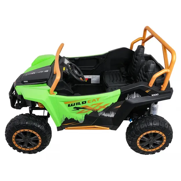 Buggy Arctic Cat WILDCAT XX Žalias 1
