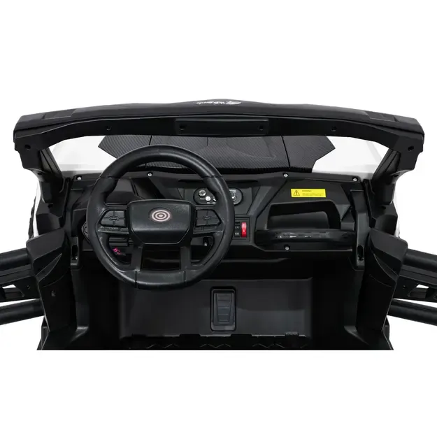 Buggy OBSERVER 4x4 Bltas 9