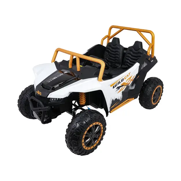 Buggy Arctic Cat WILDCAT XX Baltas 13