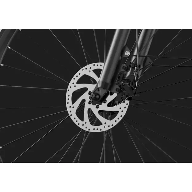 DUOTTS C29 Lite Elektrinis dviratiis 7