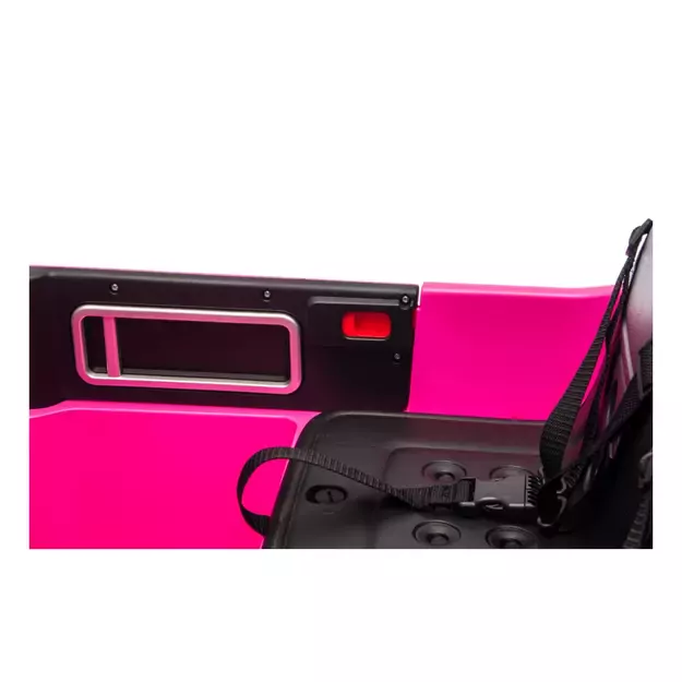 Ford GT dvivietis Rožinis 6