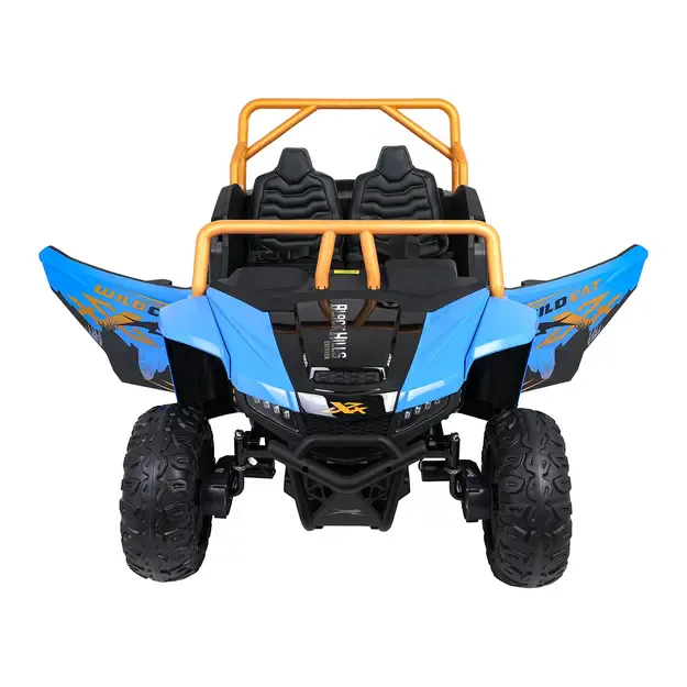 Buggy Arctic Cat WILDCAT XX Mėlynas 11