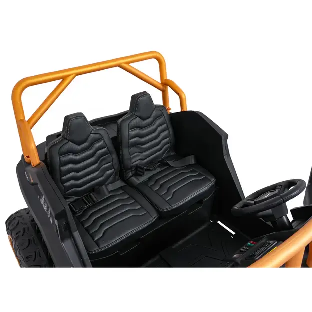 Buggy Arctic Cat WILDCAT XX Mėlynas 21