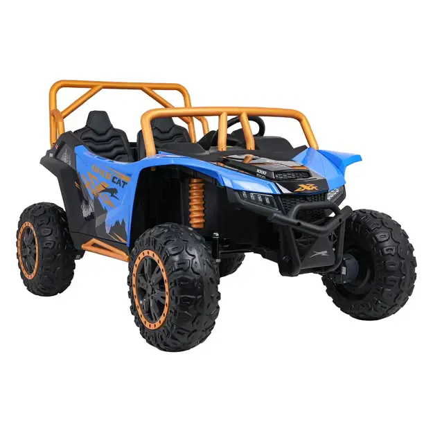 Buggy Arctic Cat WILDCAT XX Mėlynas 3