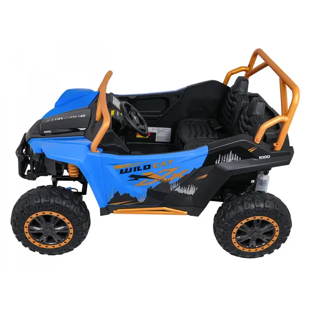 Buggy Arctic Cat WILDCAT XX Mėlynas 5