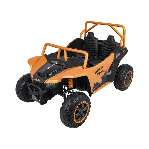 Buggy Arctic Cat WILDCAT XX Orandžinis 11