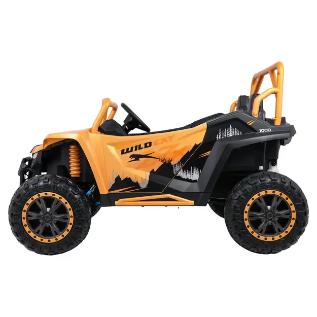 Buggy Arctic Cat WILDCAT XX Orandžinis 4